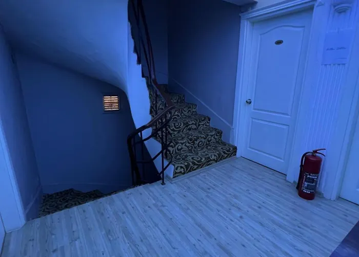 Falay Yavuz * اسطنبول